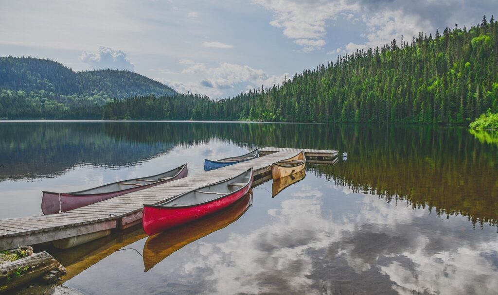 canoe, lake, forest-3794288.jpg